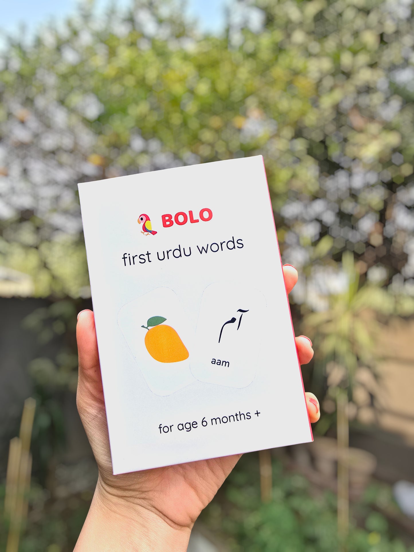 Parent holding a Bolo Urdu flash card with photo-realistic image and Urdu text